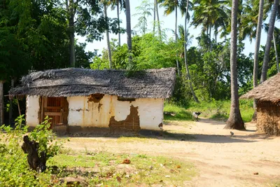 DSC_8325 (Large).JPG